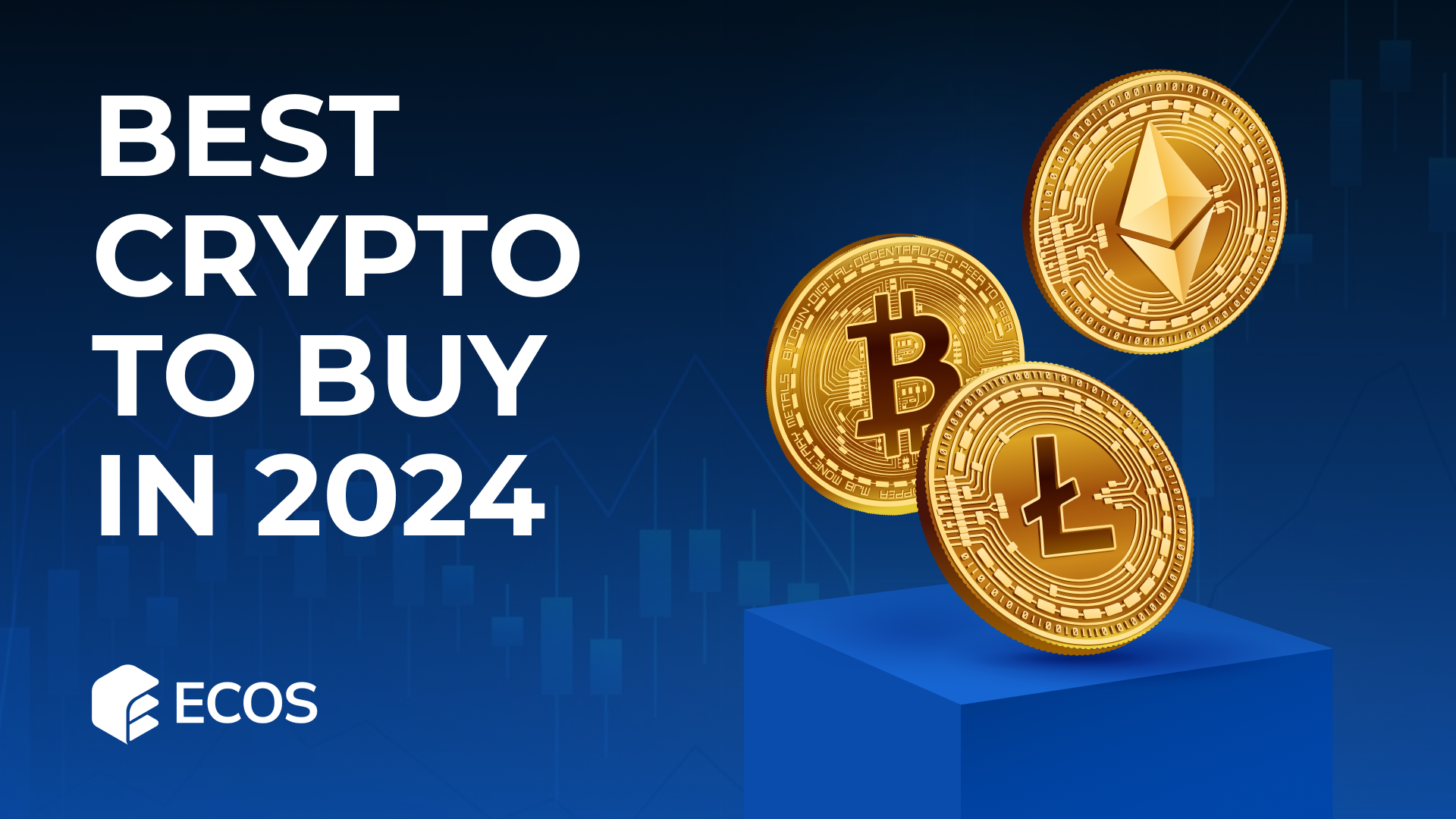 Best Crypto to Buy in 2024 | by ECOS M | Medium