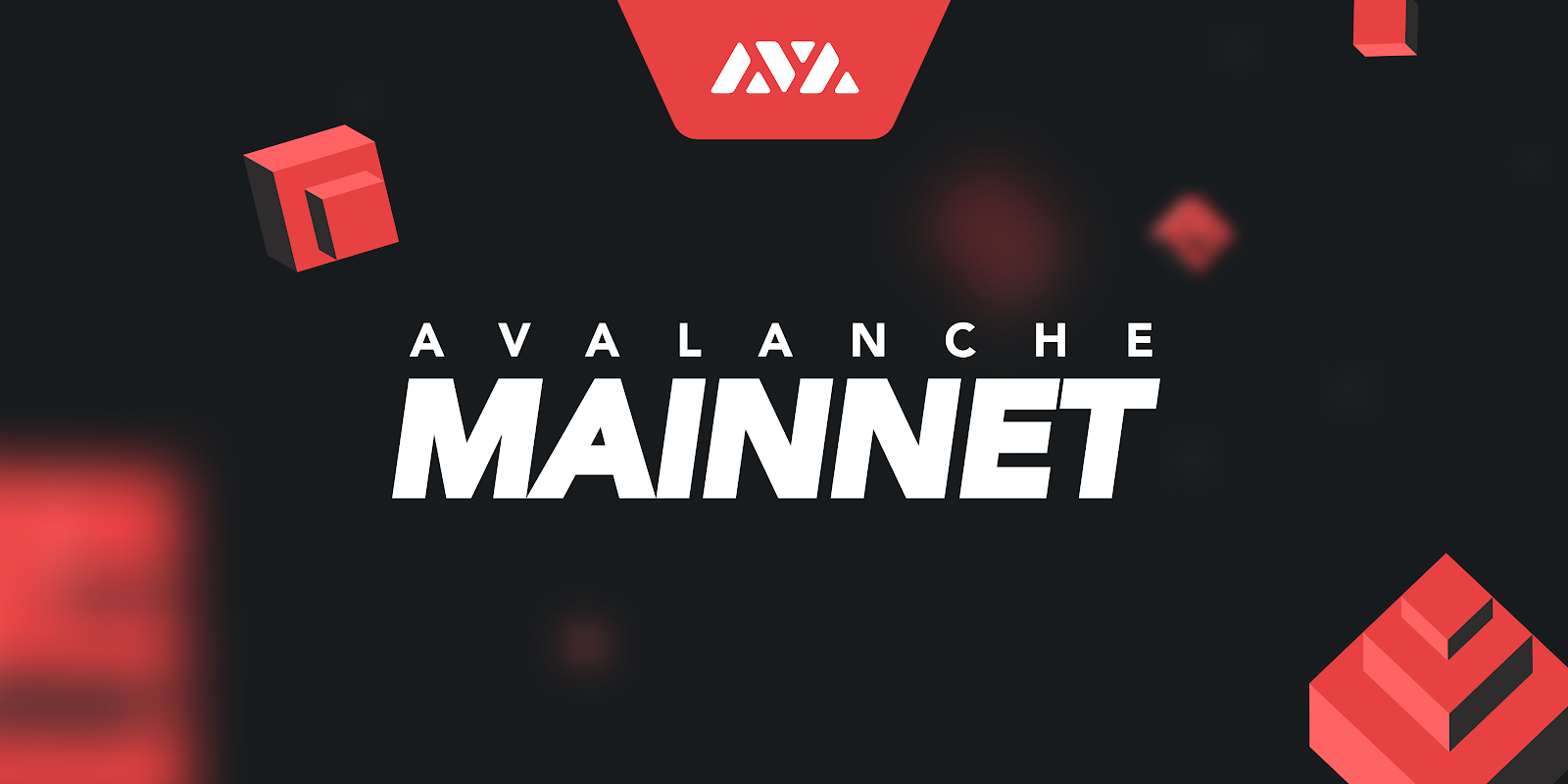 Avalanche Mainnet is Live. From Snowflake to Avalanche, the… | by Avalanche  | Avalanche | Medium