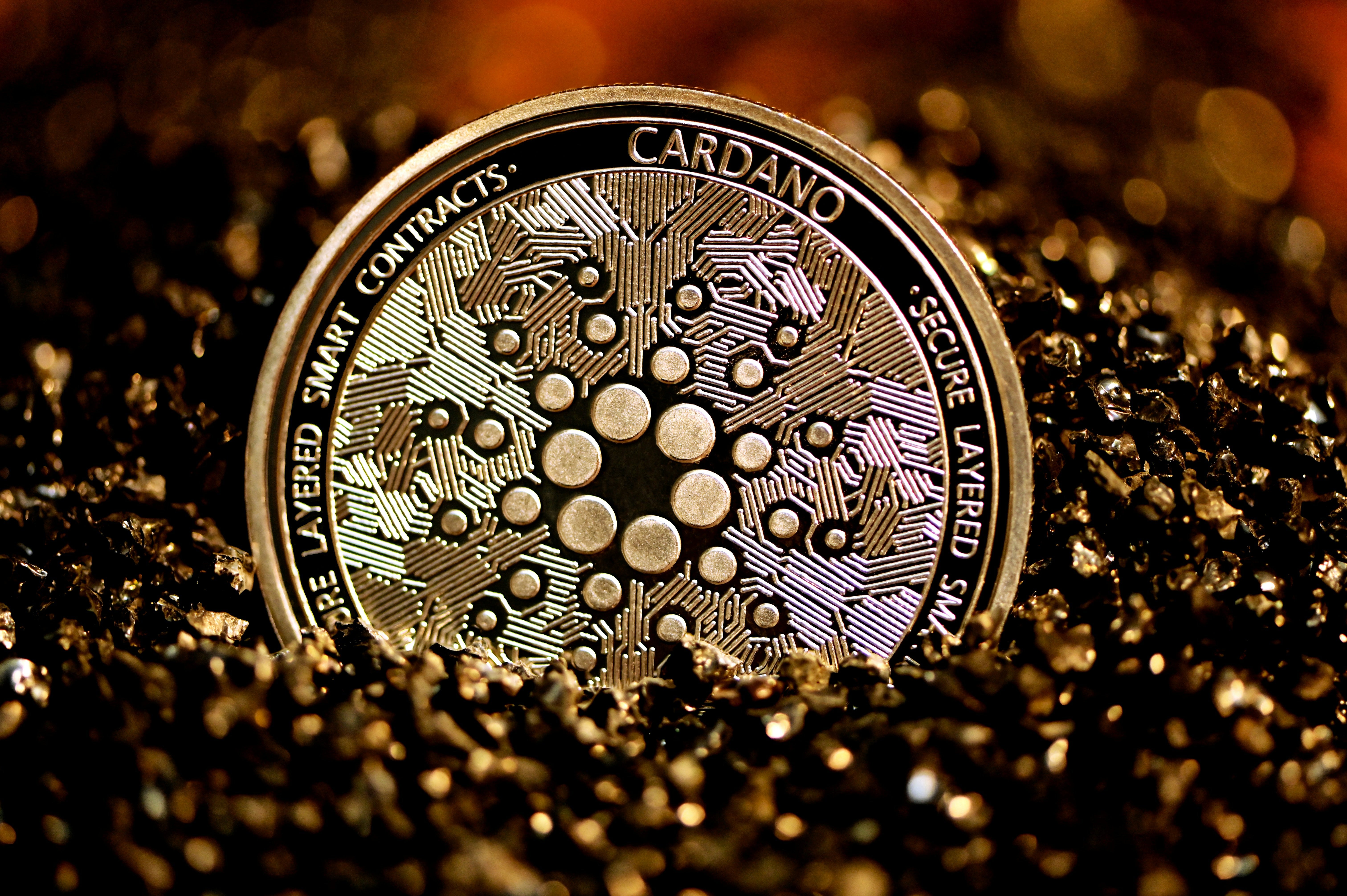 Cardano Will Make You a Millionaire! ADA Price Prediction for 2025 | by Tom  Holland | Coinmonks | Medium