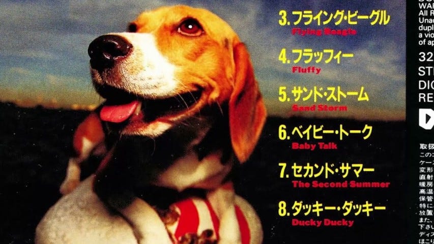 Flying Beagles, And The Story Of Himiko Kikuchi's Most Beloved