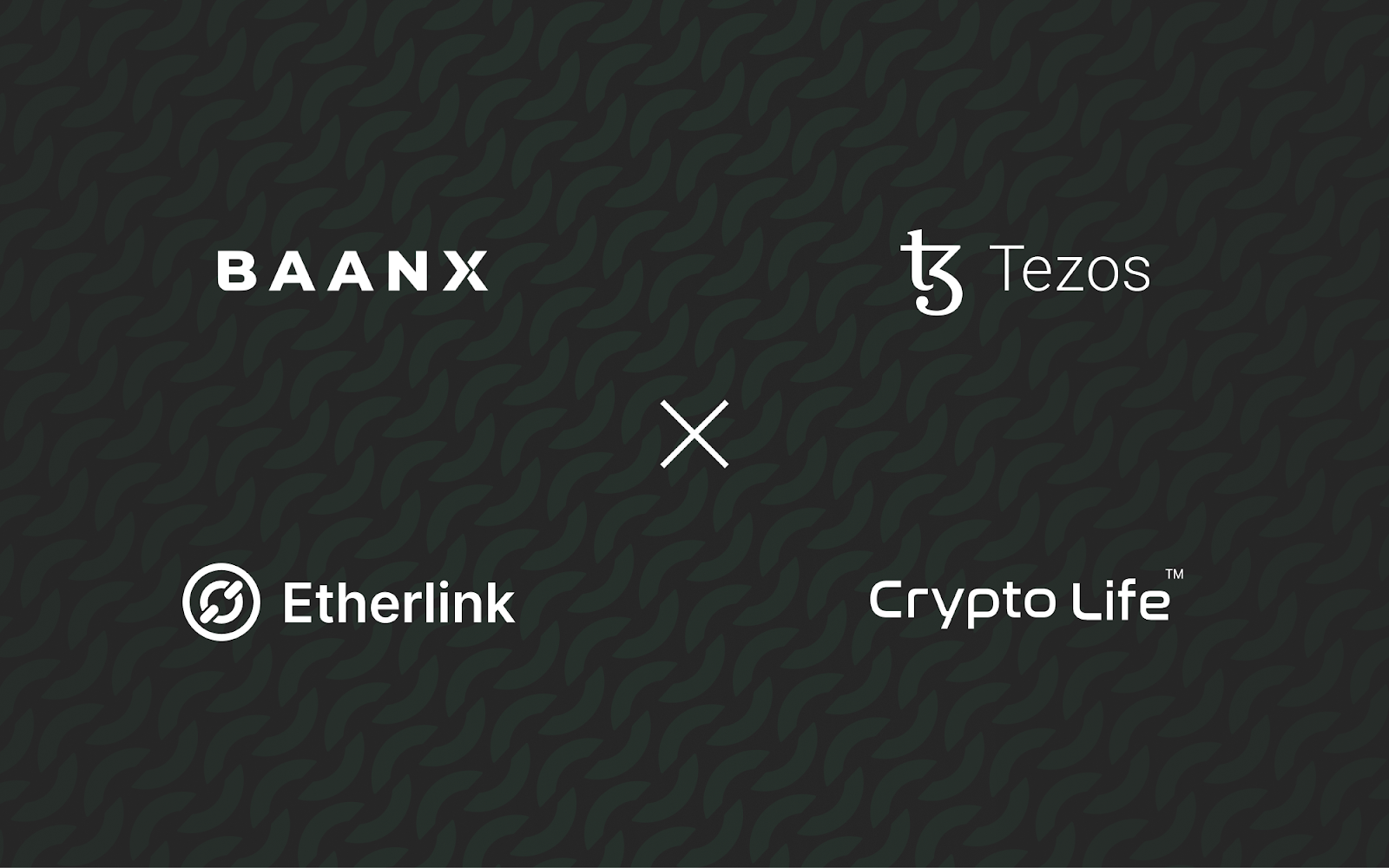 Revolutionizing Crypto Payments: Introducing the Etherlink-Powered On-Chain  Debit Card | by Etherlink | Etherlink Community | Medium