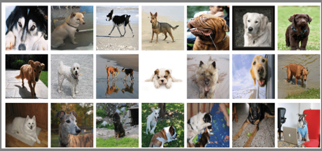 GANs: A Brief Theory and Practice, and Image-to-Image Conversion