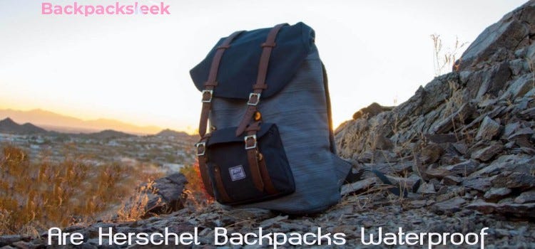 Are Herschel Backpacks Waterproof  BackpackSleek | by backpack sleek |  Medium