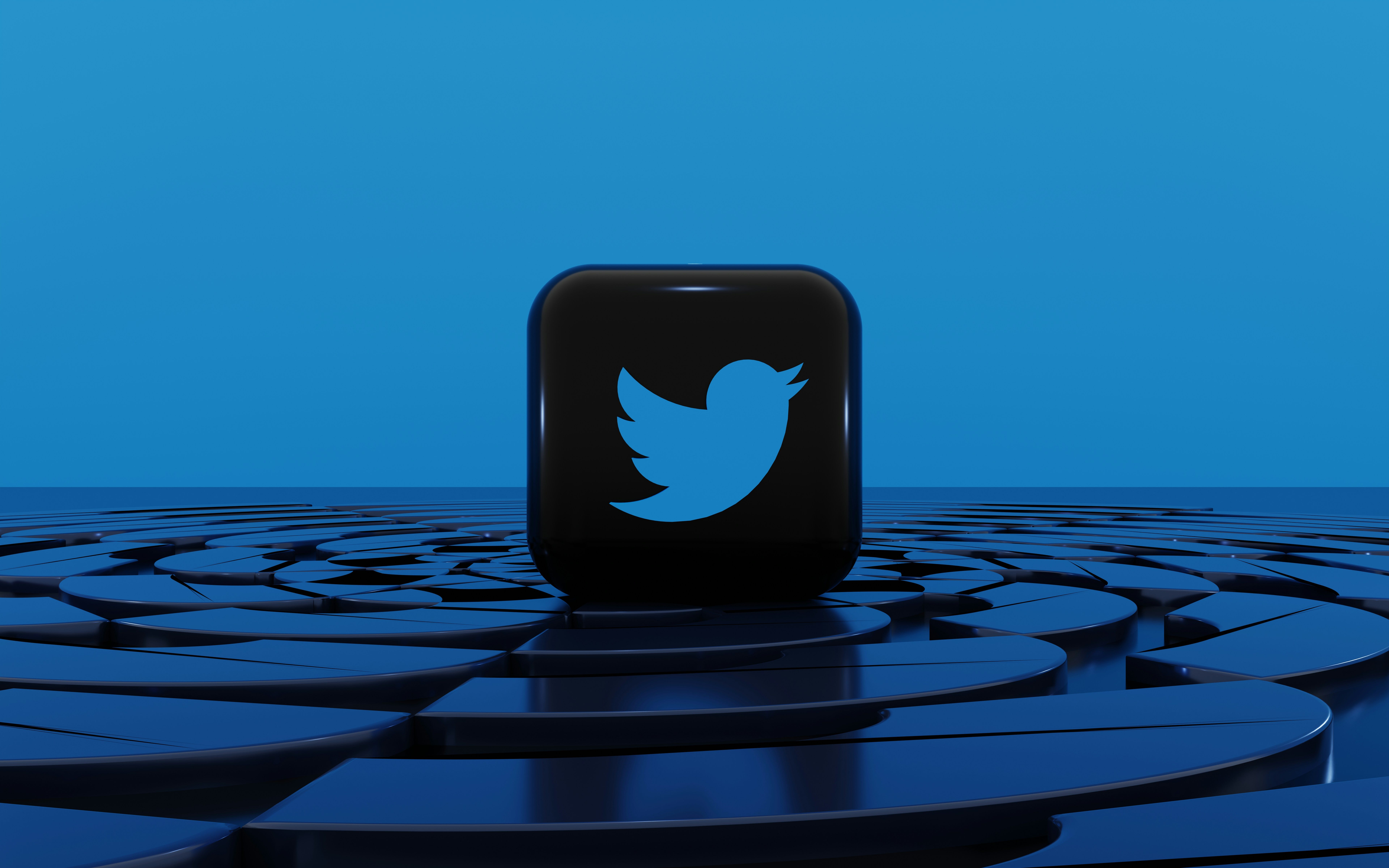 Twitter Bird Black