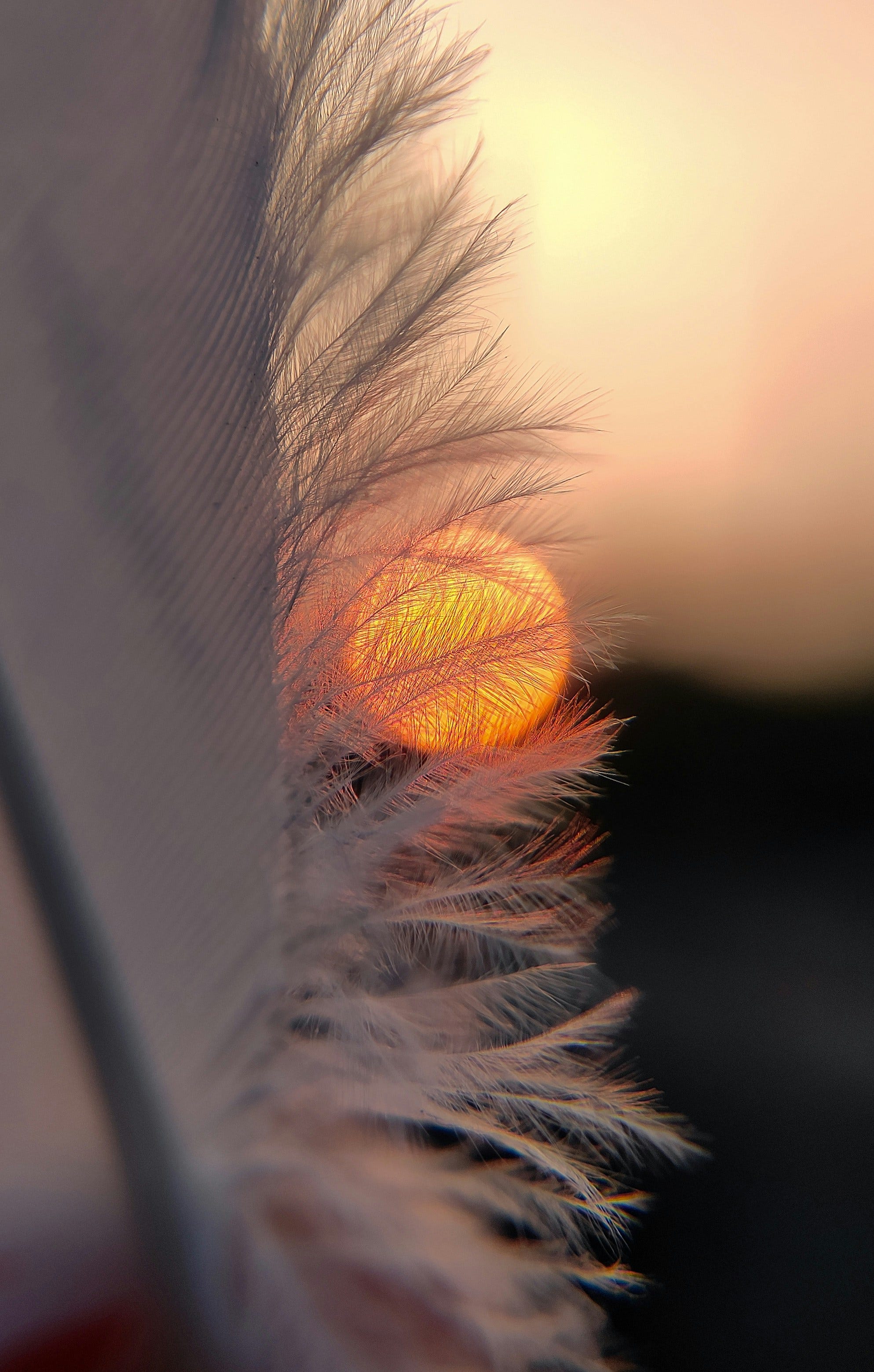 Photo by Shyamli Kashyap on Unsplash