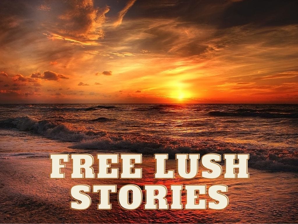 Free Lush Stories. These Are The Most Beautiful lush… | by Success Tips |  Medium