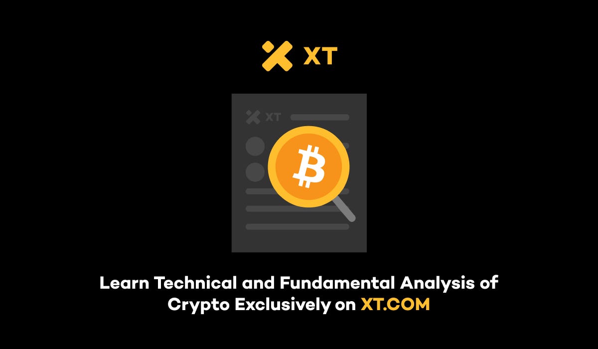 Bitcoin Price Prediction: How to Analyze Bitcoin Trends and On-Chain  Metrics Like a Pro | by XT Exchange | Medium