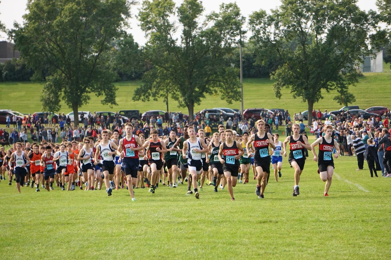 What is Cross Country Sport: Ultimate Guide to Endurance Running