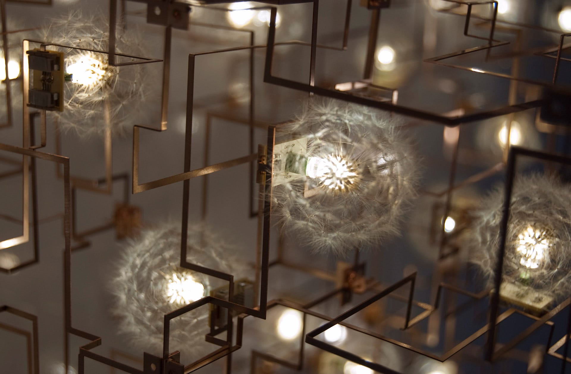 Fragile Future 3.13” by Studio DRIFT: July Collection Highlight