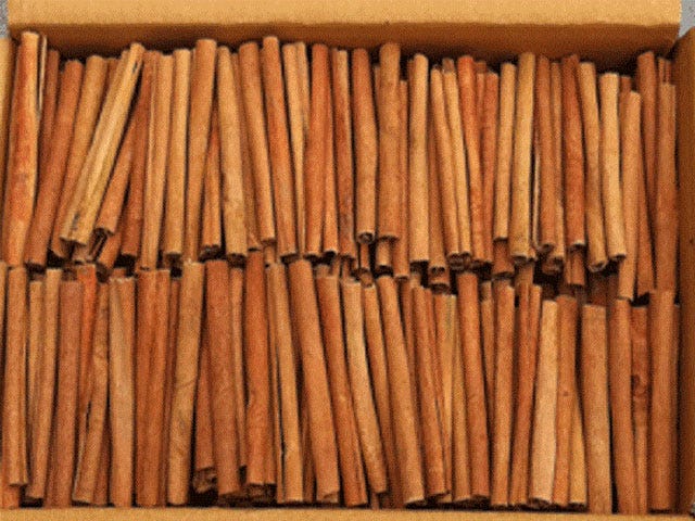 cigarette cassia Cigarette Cassia. Cigarette Cassia — Cigarette Cinnamon | by ECM VN