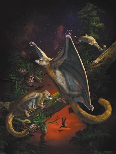 Secondarily flightless gondwanatheres? | by Carlos