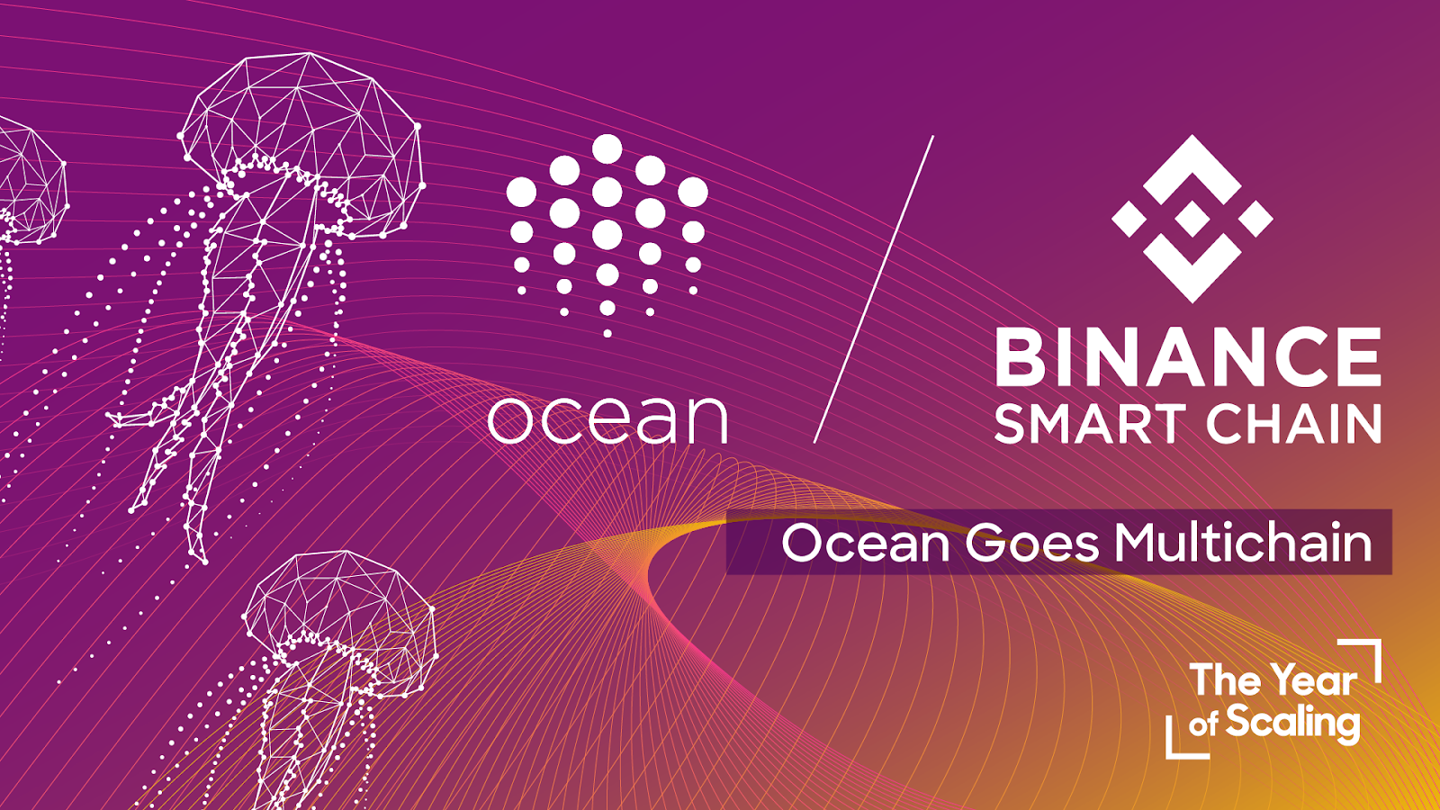 Ocean Protocol is deployed on Binance Smart Chain | Ocean Protocol