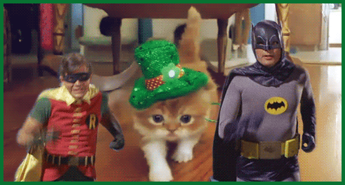 Will Ferrell Cat Toy Gif: Hilarious Moments That Captivate Cats
