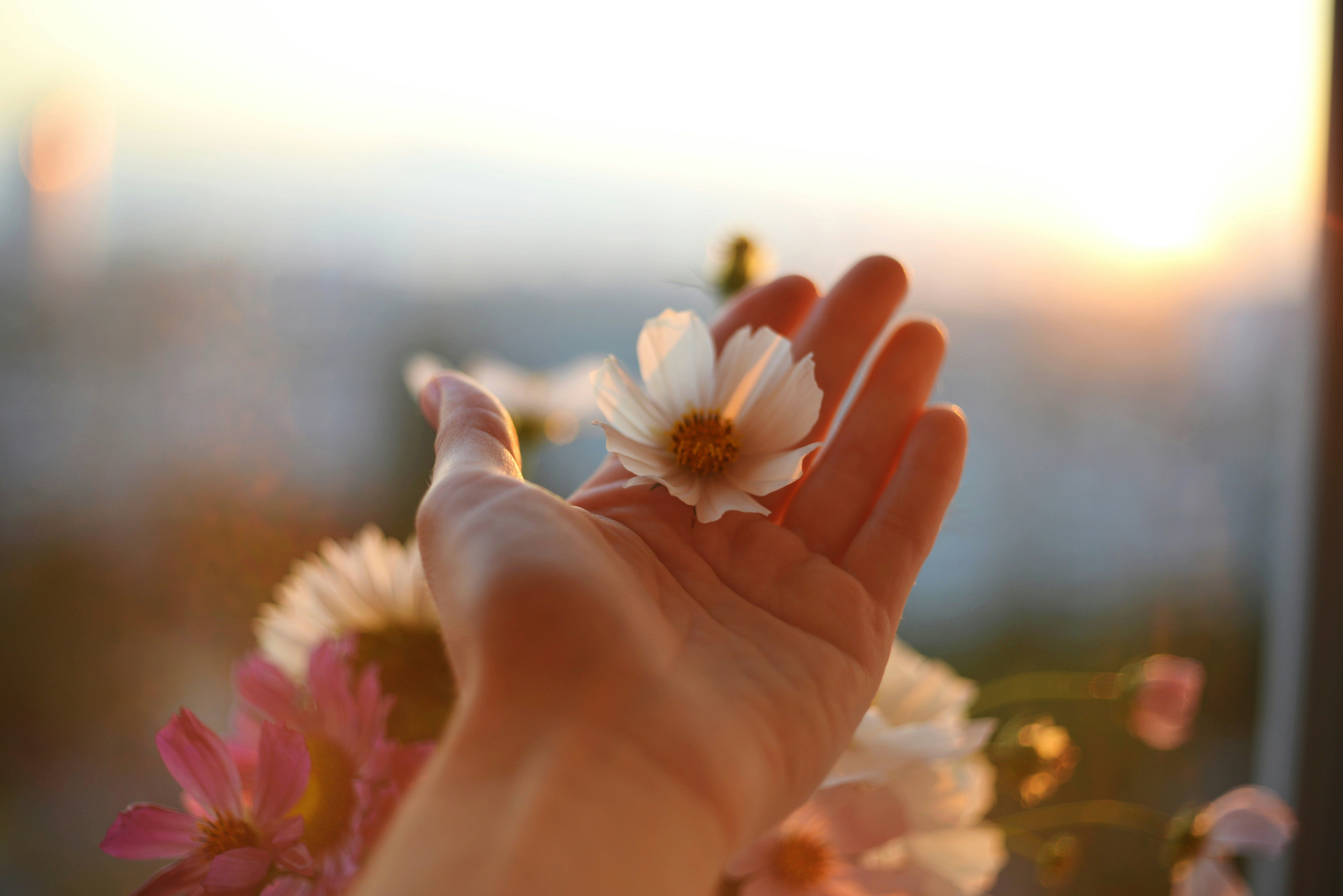 Photo by Liana S on Unsplash