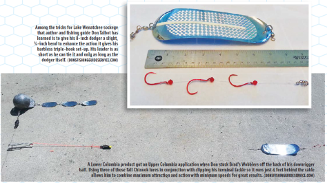 How To Rig A Dodger For Trout: Expert Tips for Big Catches