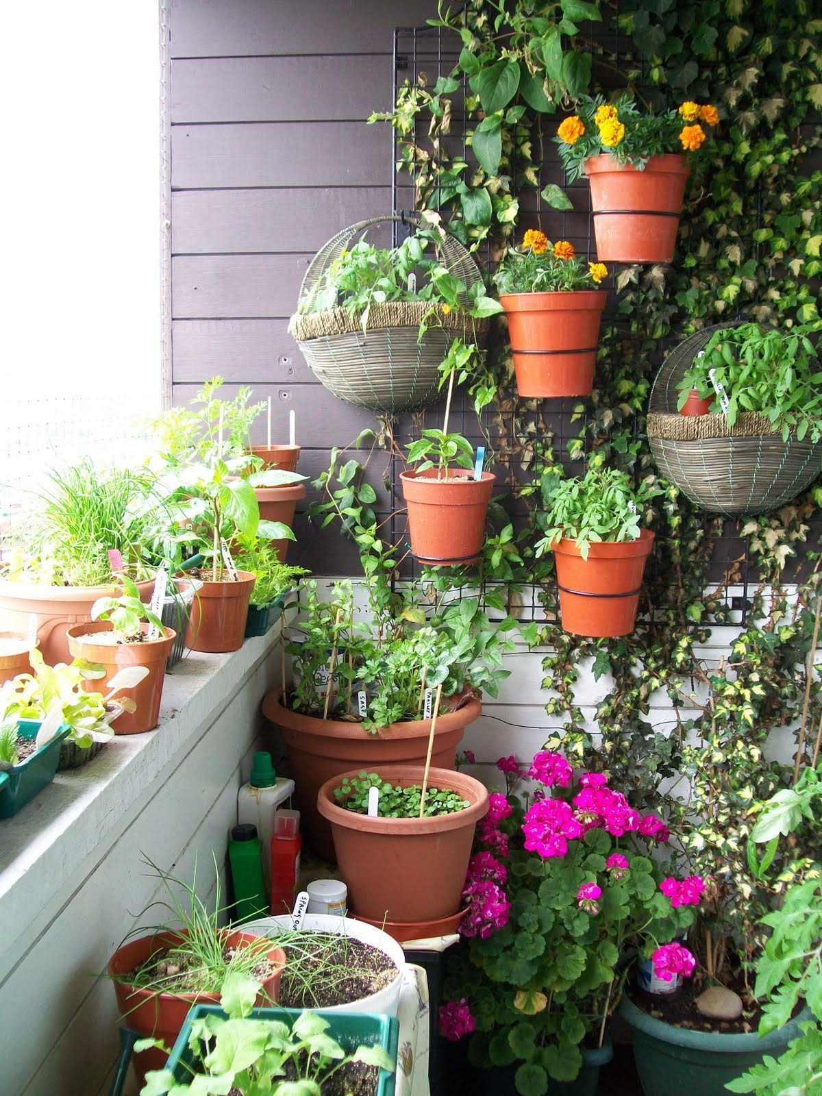 Balcony Garden Decoration Ideas: Stunning Tips to Transform Your Space