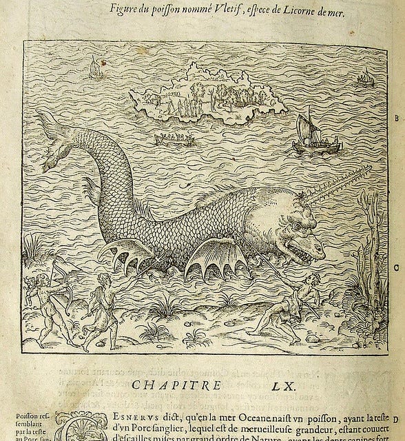 A Book of Creatures: The Internet's Most Obsessive Monster Encyclopedia |  by Rekhi | Medium