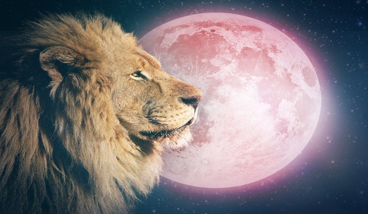 Full Moon in Leo. This Leo full moon is about learning… | by ...