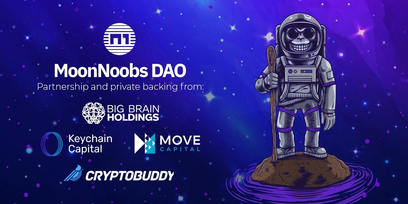 Backers and Private Sale Update. The MoonNoobs team has received an… | by  MoonNoobs DAO | MoonNoobs DAO