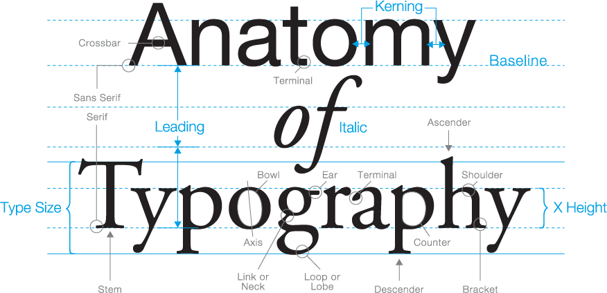Typeface Guide A Quick And Comprehensive Guide To Type Fonts Typefaces Styles