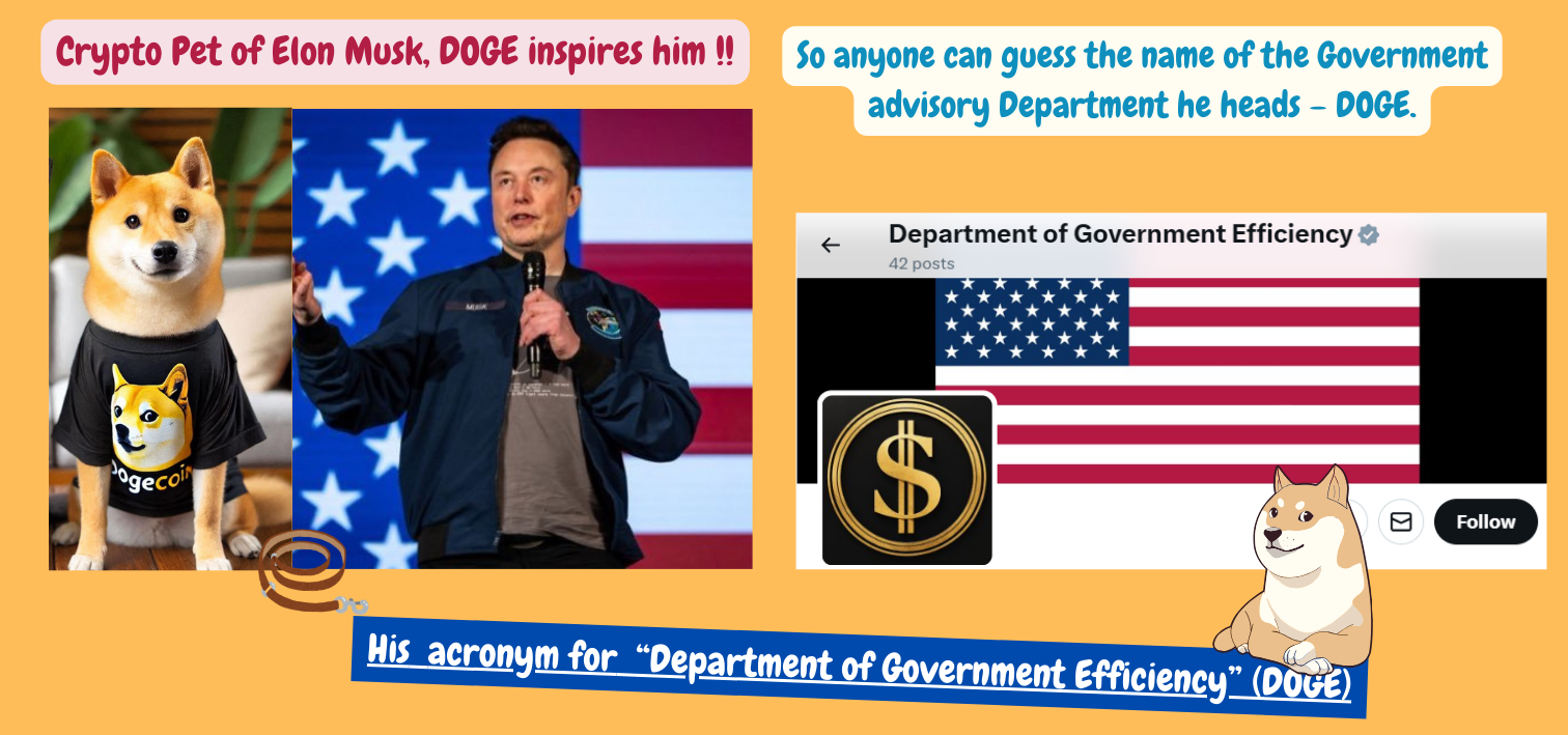 Meme-Flavored Post: Elon Musk Has a Crypto Pet | by Prreeya Narayanan |  Medium