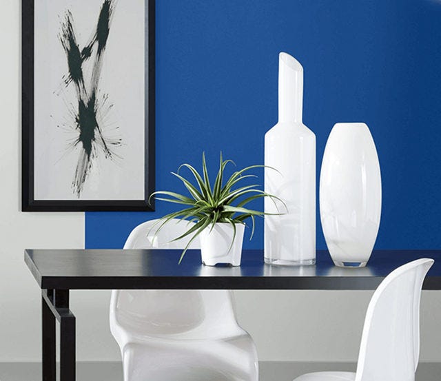 Dare to Be Different: Dive into Frank Blue (SW 6967