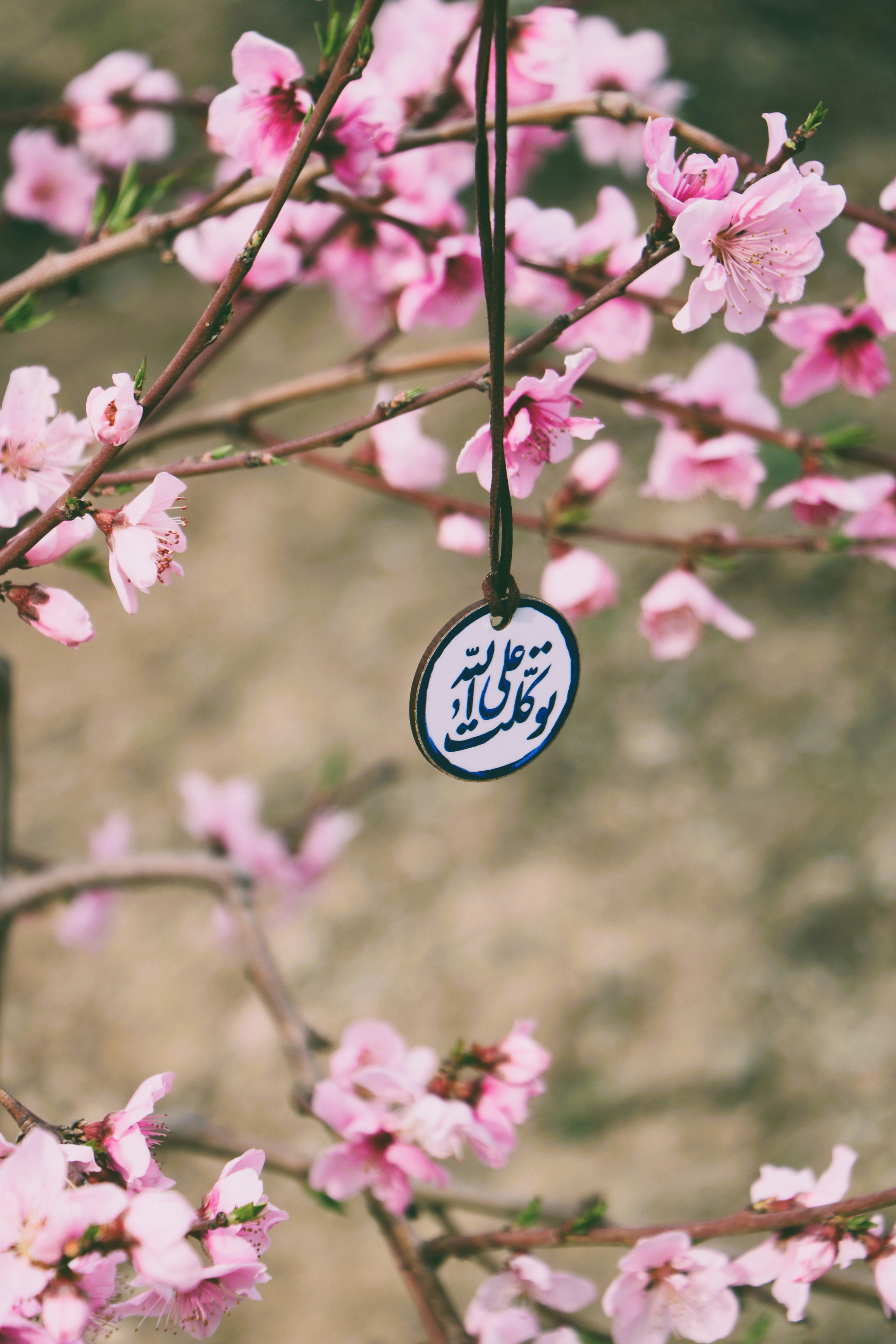 Photo by Abbas Tehrani on Unsplash