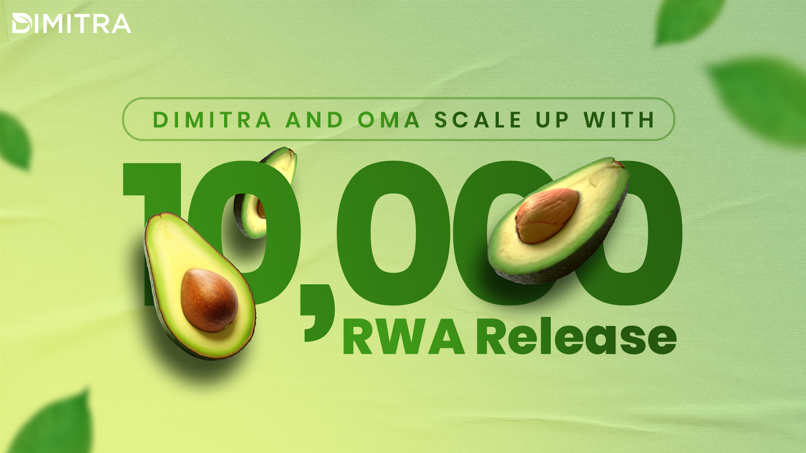 Dimitra and OMA Scale Up with 10,000 RWA Release | by Dimitra Technology |  Medium