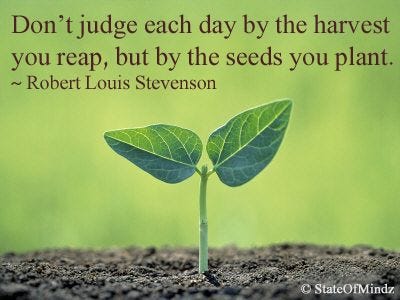 It's Not the Harvest You Reap But the Seeds You Sow' | by Michelle Monet |  The Writing Cooperative