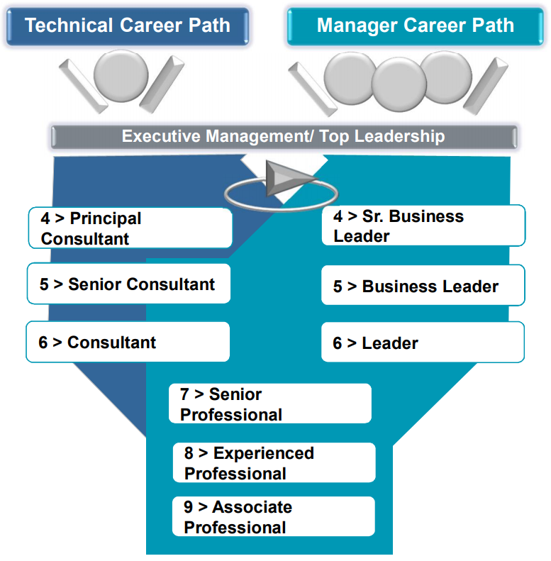 Dual Ladder Career Progression