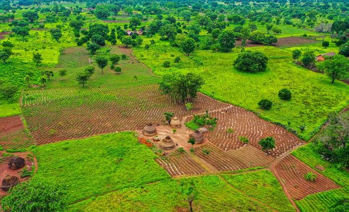 Aerial farmland