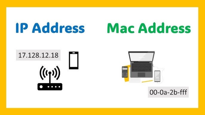 Host Identification in Networking (How Devices are Identified – CCNA Day 9)