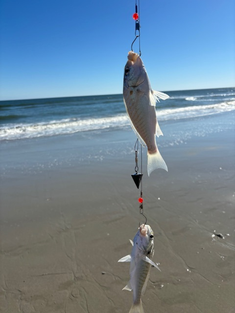 Two At One Time!. The two-hook bottom rig provides a rush | by JD Solomon  | Medium