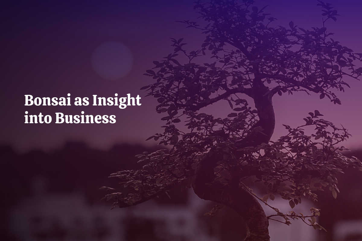 Bonsai as Insight into Business. One thing that many people are | by Shawn  Clark | Medium