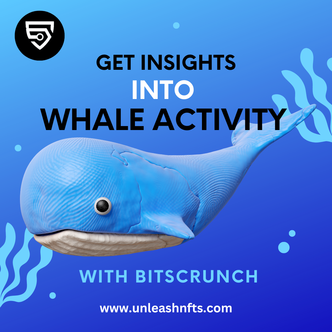 Navigating the NFT Ocean: Understanding Whale Influence and Gaining  Insights with BitsCrunch | by Chieze Nlerem | Medium