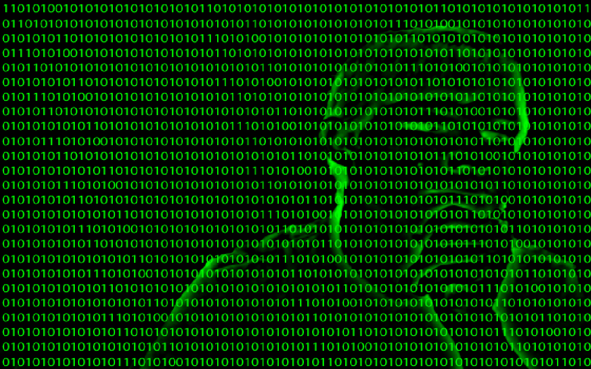 Bits and Secrets: The Art of Memory Forensics | by Sumedha Dawadi