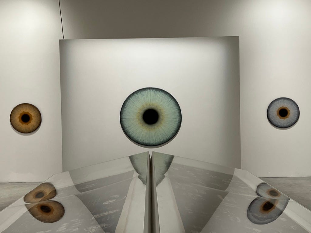 La Biennale di Venezia as Connectedness-Culture-Making | by Neil