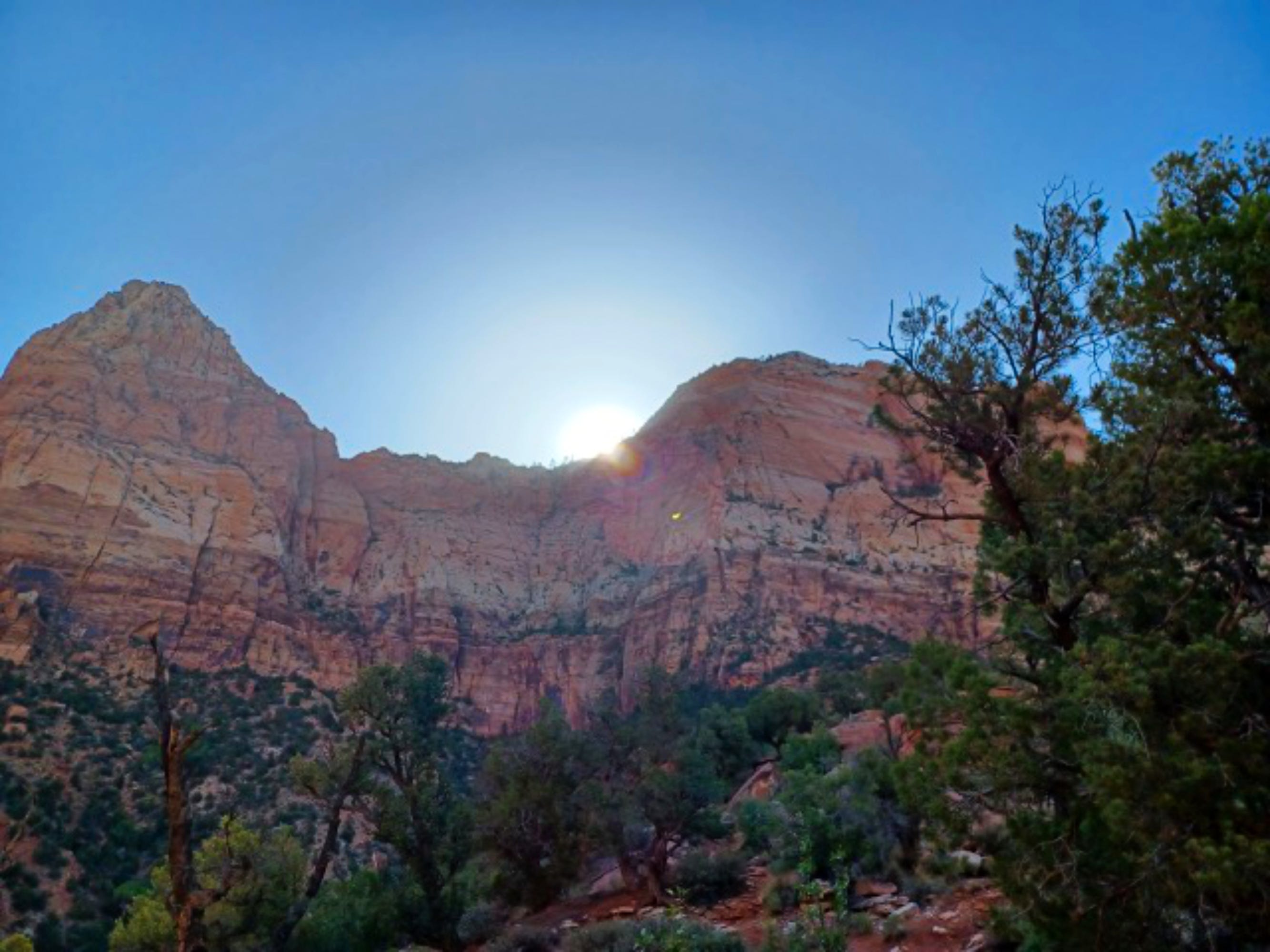 A Different Perspective on Zion National Park | by Carol