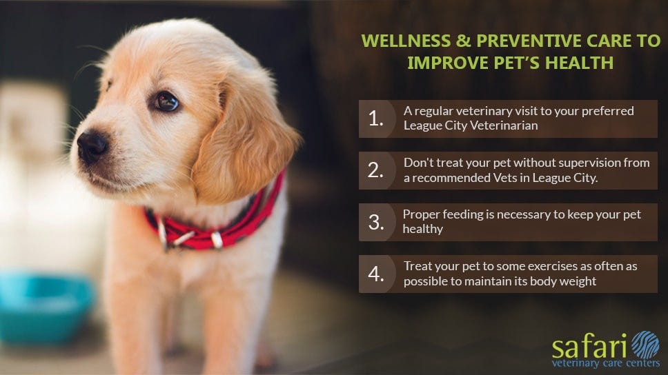 Pet's wellness and preventive care — Tips to improve your pet's health | by  Safari Veterinary Care Centers | Medium