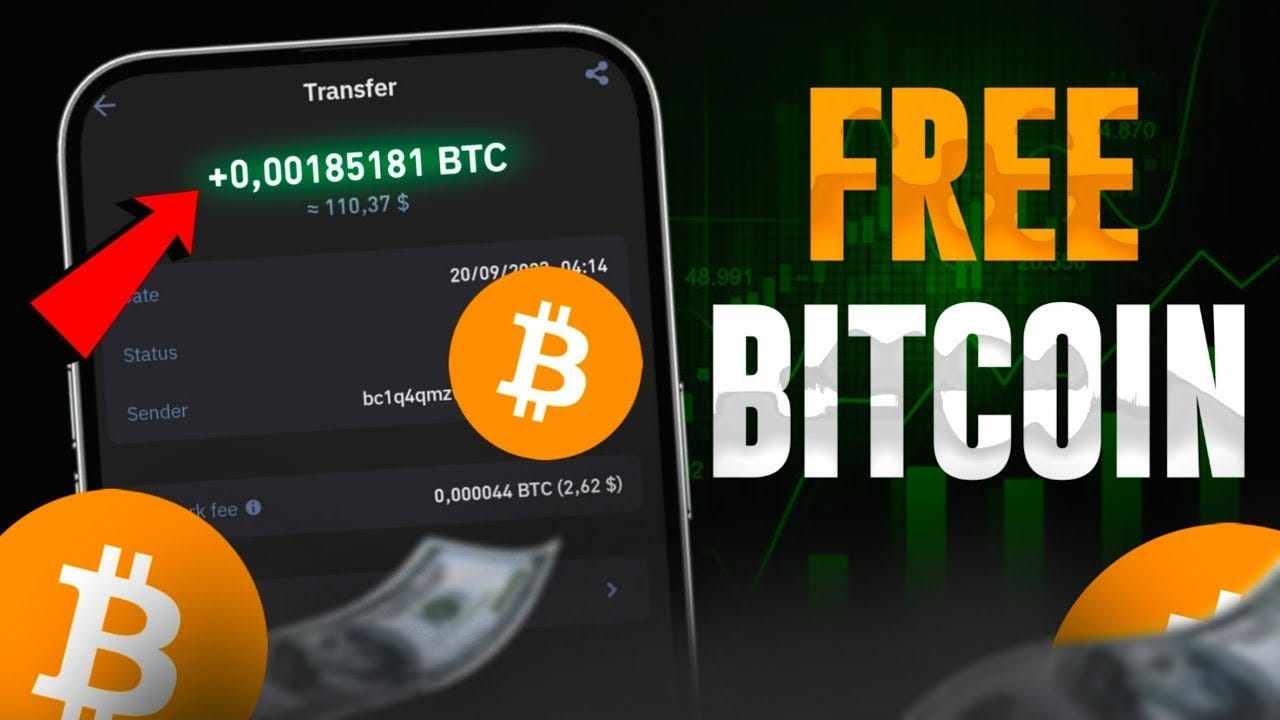 How a Free Crypto Trading Bot and 0.06 BTC Helped Me Save a Lost Kitten |  by Arseny Gomelis | Medium