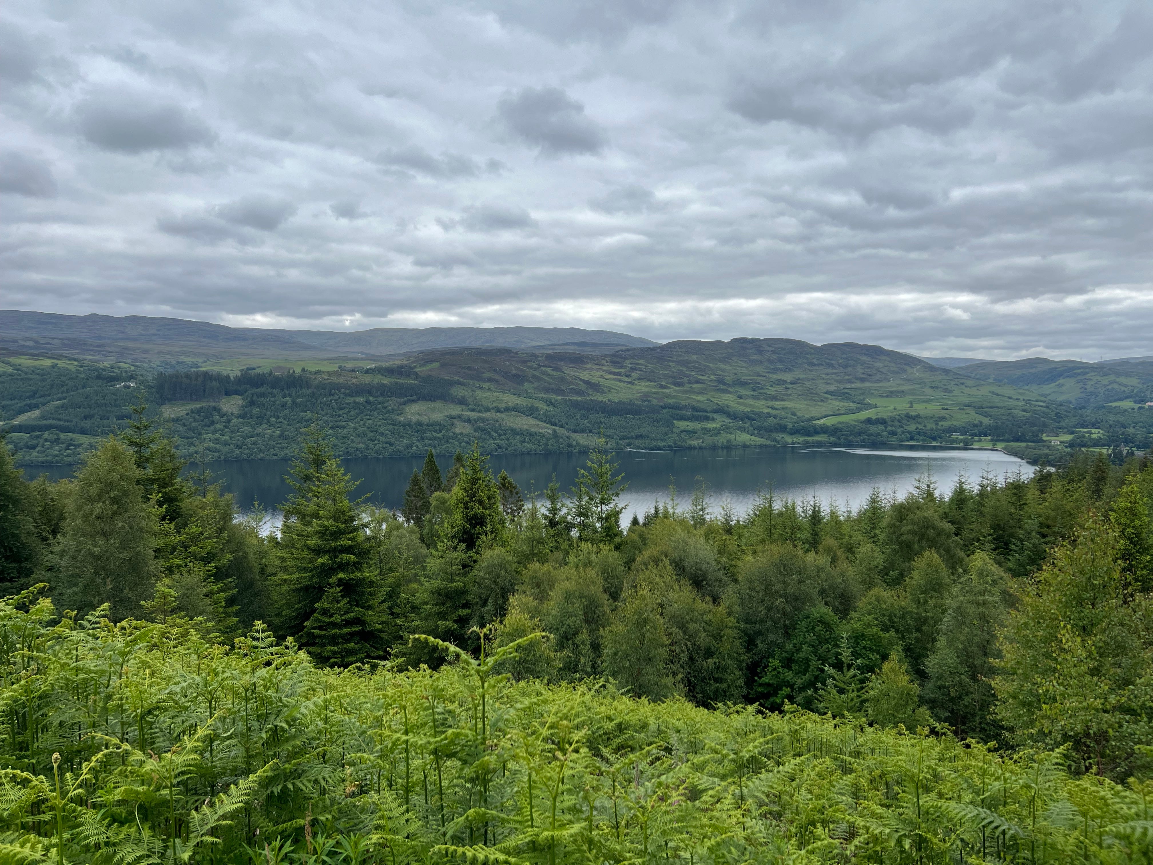 Returning the Earth to Nature | By Samie Dorgham | The New Climate., image size:4032x3024