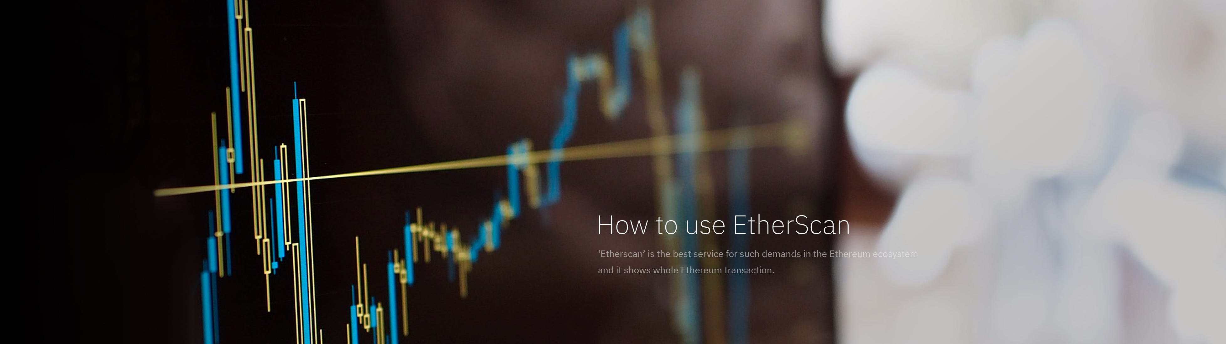 How to use EtherScan. 이더스캔 활용 방법 | by BOSagora | BOSagora | Medium