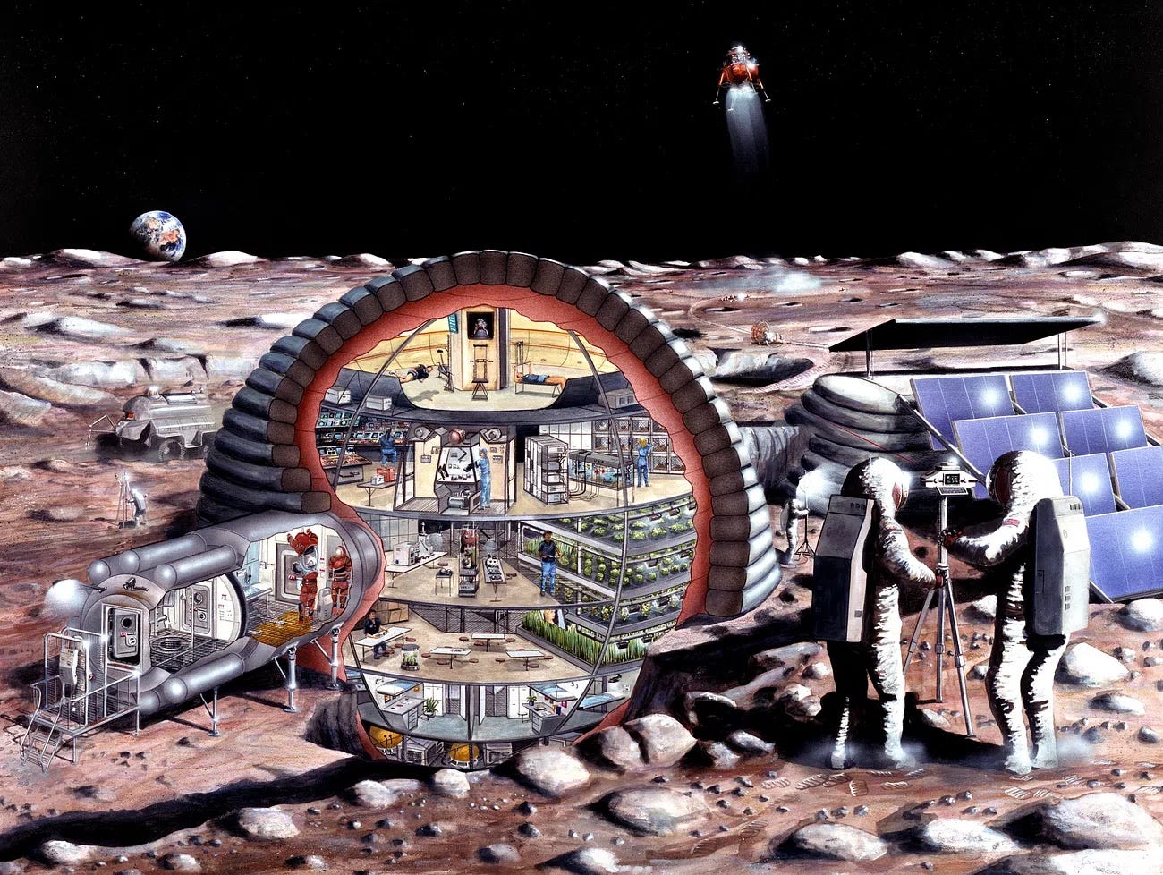 Building a Home on Mars: The Challenge of Durable Habitats