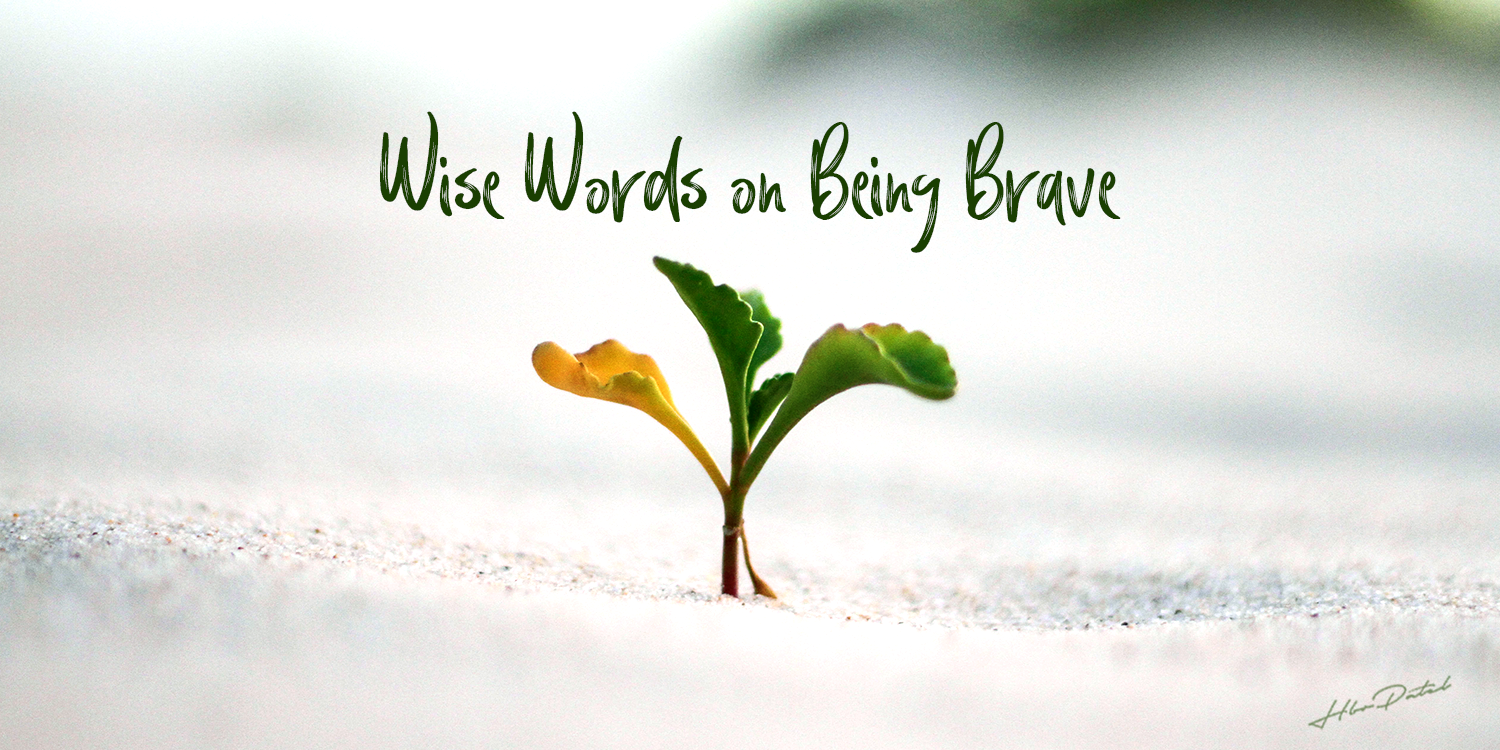 Wise Words on Being Brave.. Sometimes a decision to be brave \u0026 to… | by HBR  Patel | Medium, image size:1500x750