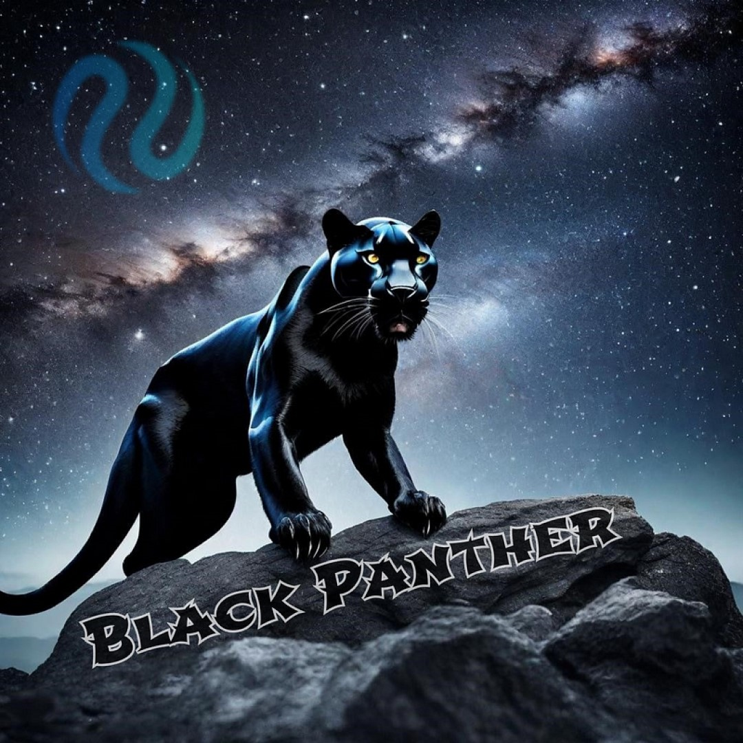 What is Black Panther? Detailed overview of the platform | by Just Purson |  Medium