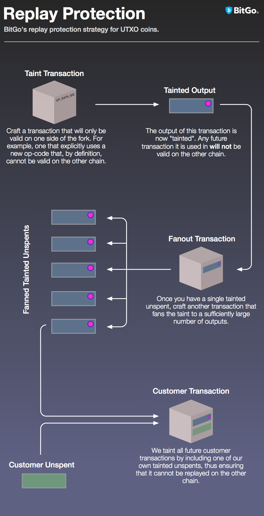 How BitGo Protected Clients During the Bitcoin Cash Hard Fork | by Sean  Coonce | Official BitGo Blog