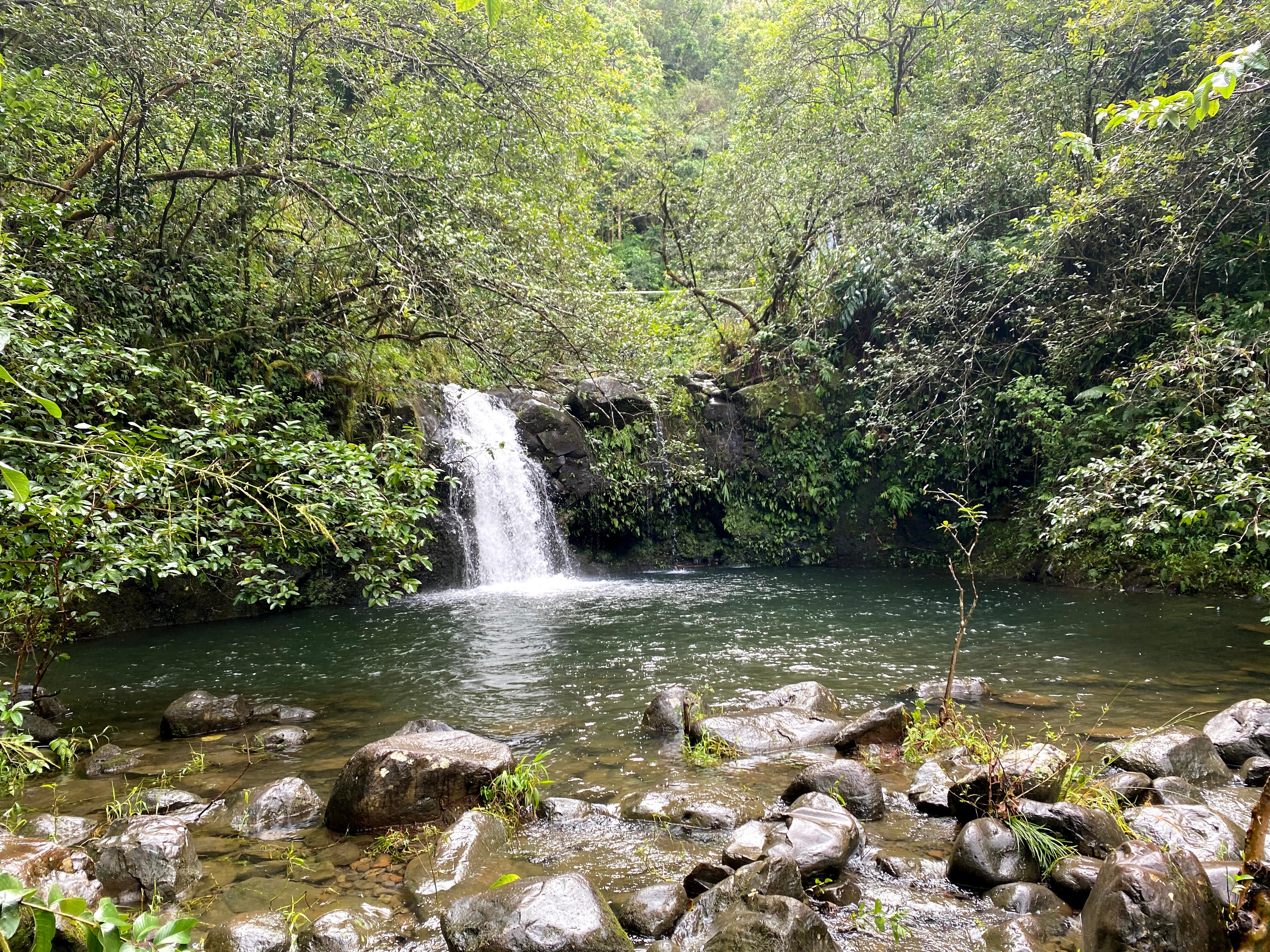 The Clockwise Road to Hana. Maui is a bizarre island. Bizarre… | by  Srivatsan Sridharan | Srivatsan Sridharan | Medium