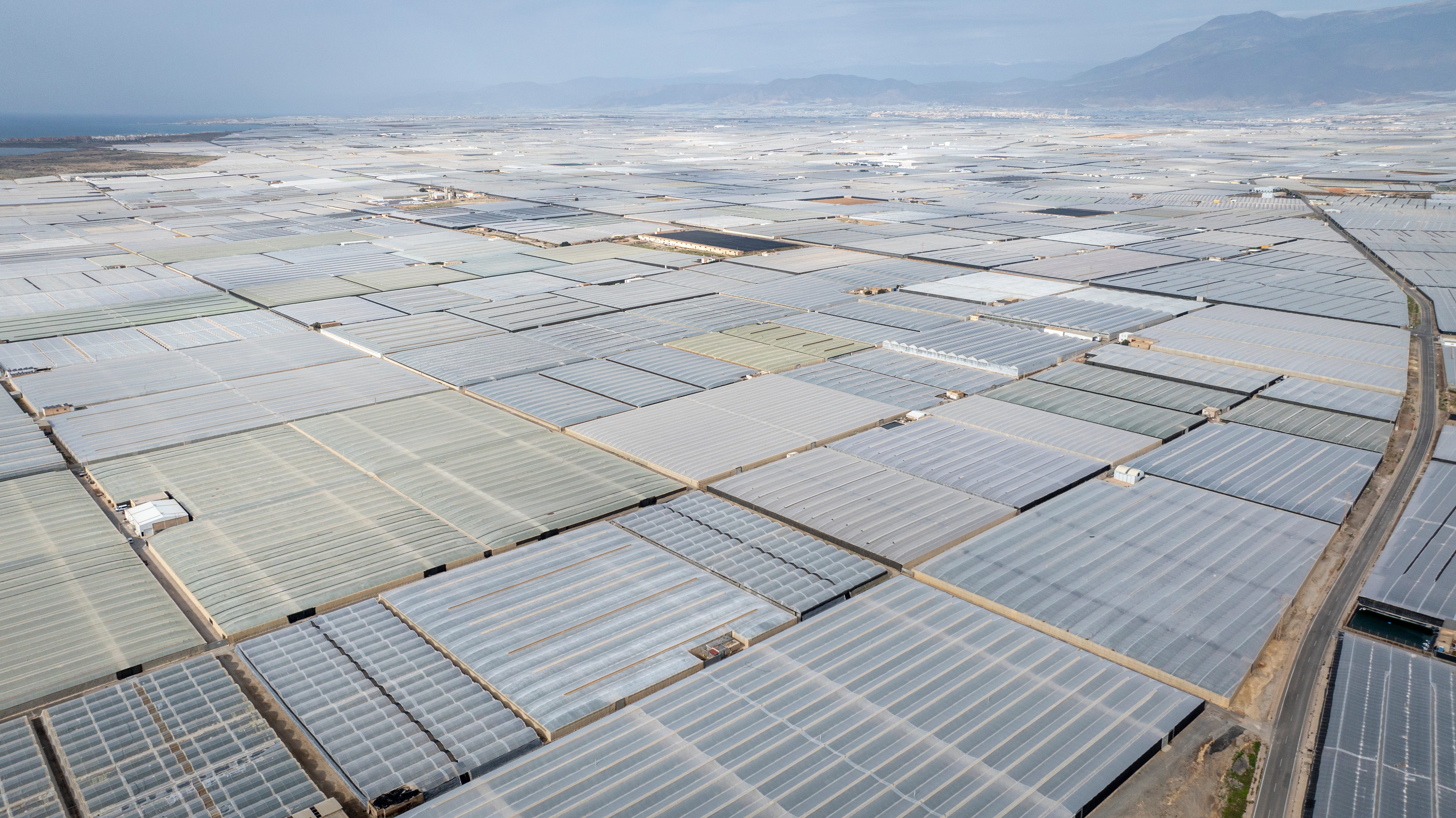 13s' Gravis 代官山 Unit Slum Village Meet Los Grillos: Spain's Planned Prison for Migrant Workers | by