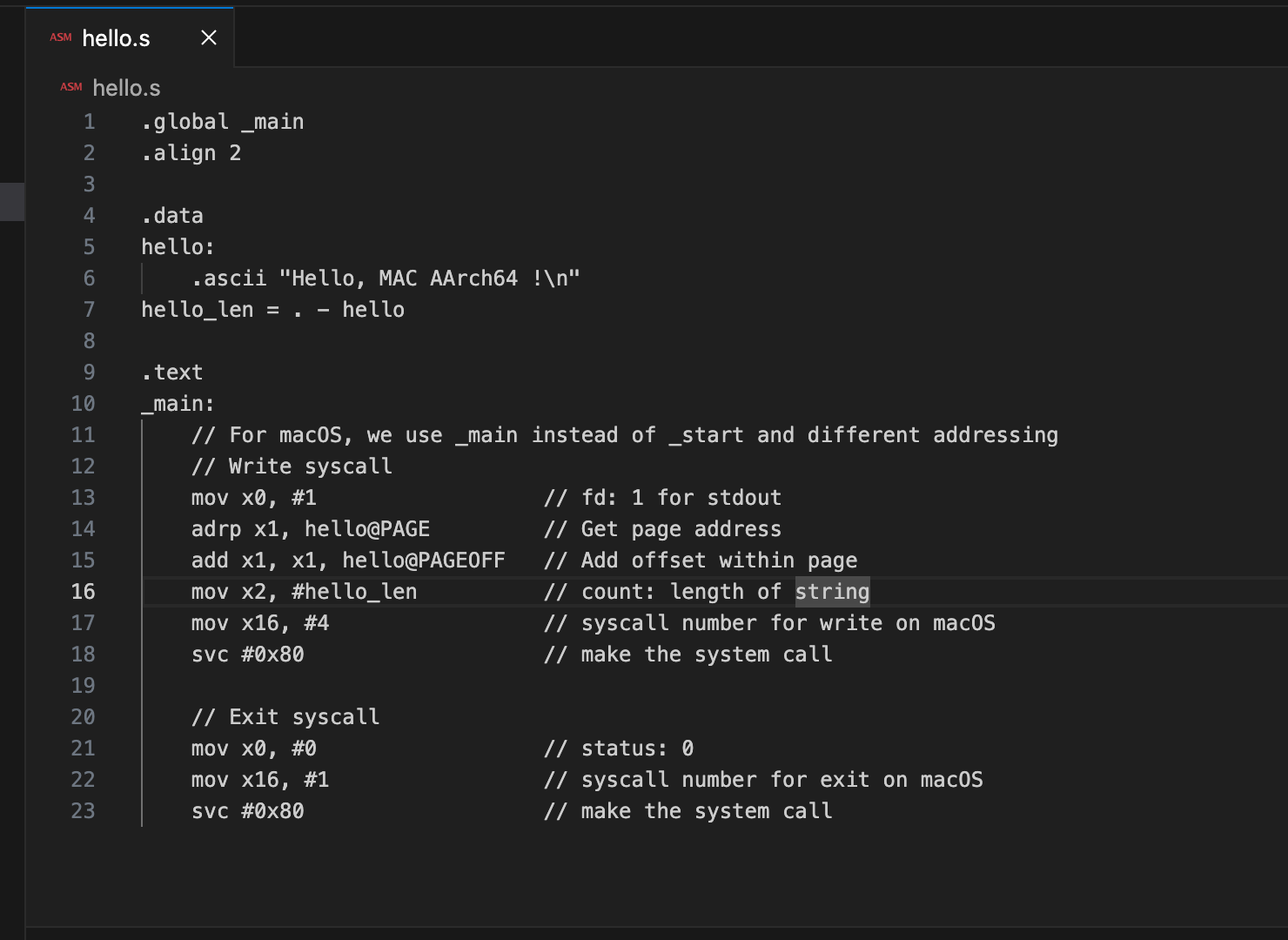 Writing Your First ARM64 Assembly Program on macOS | by wahyu eko