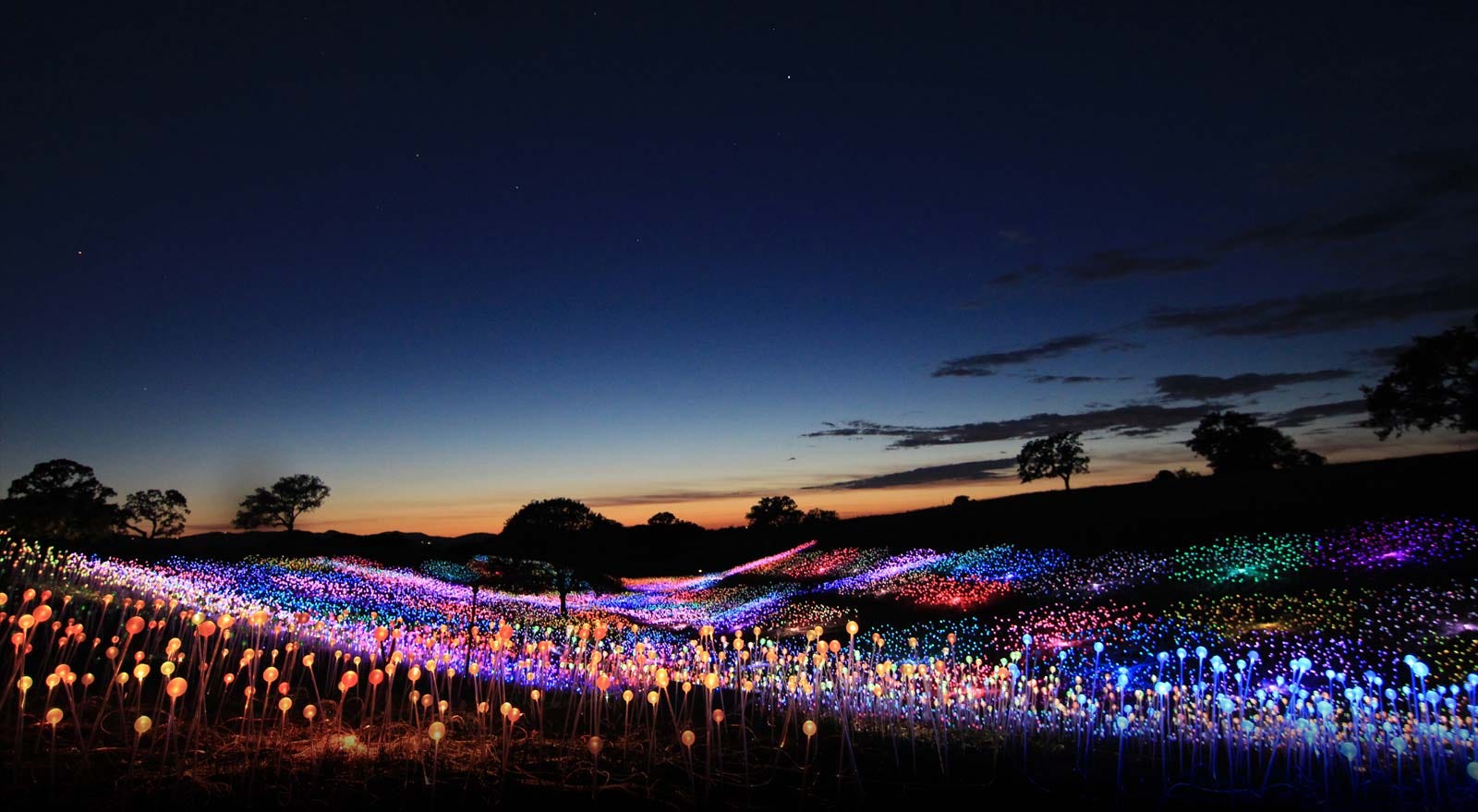 Paso Robles: Field of Light at Sensorio (Extended)